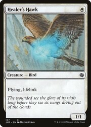 Healer's Hawk 107