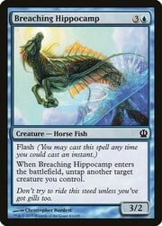 Breaching Hippocamp 043
