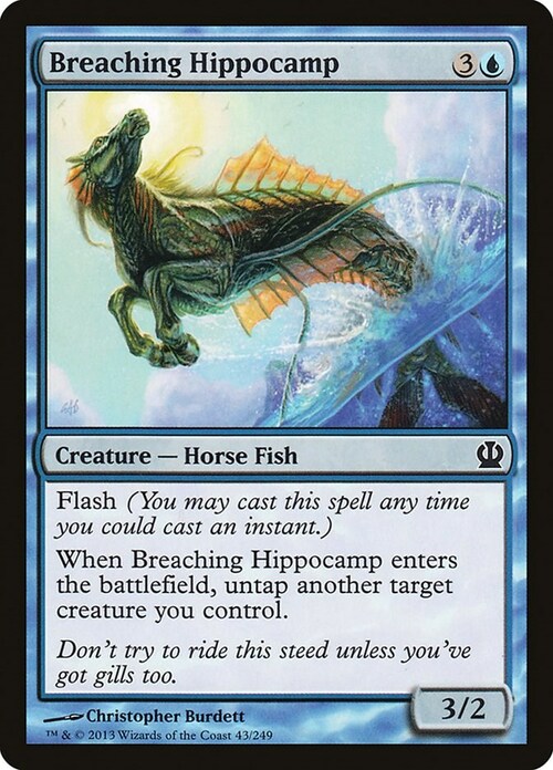 Breaching Hippocamp Card Front