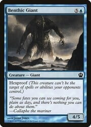 Benthic Giant 041