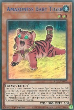 Amazoness Baby Tiger Card Front