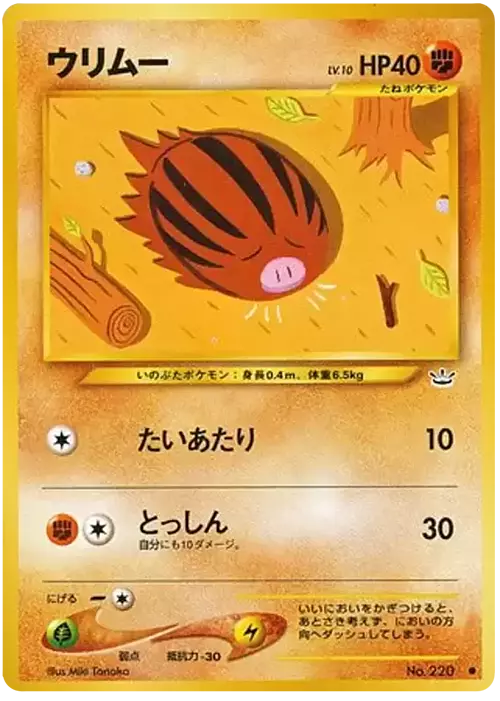 Swinub Card Front
