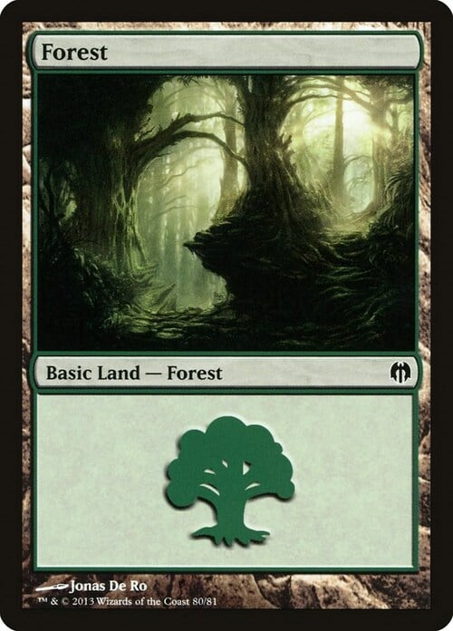Forest Card Front