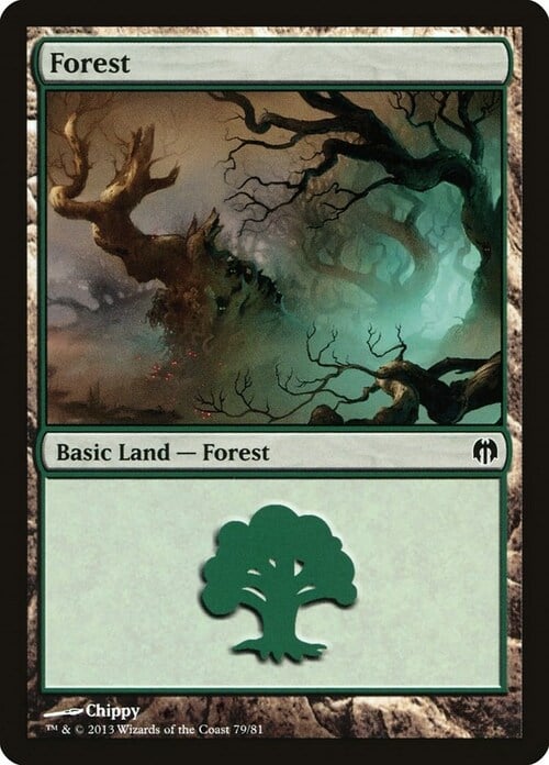 Forest Card Front