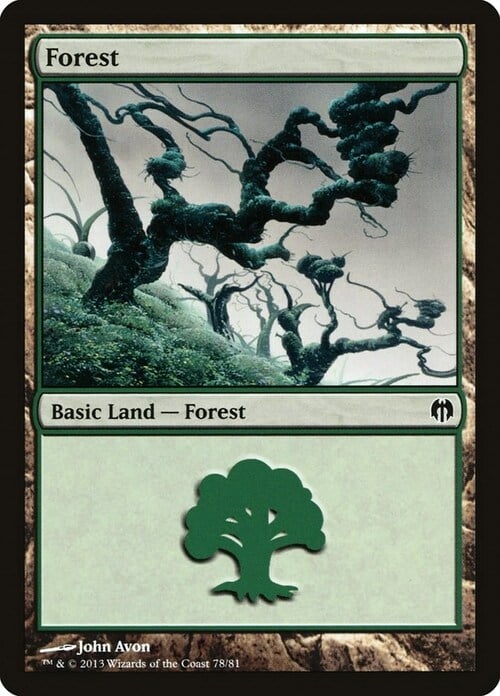 Forest Card Front