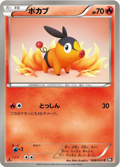 Tepig Card Front