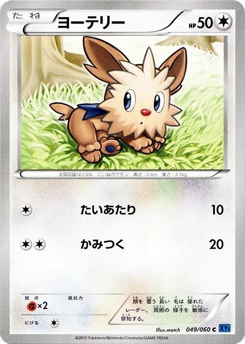Lillipup Card Front