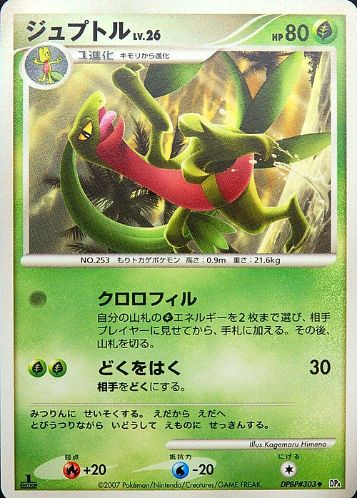 Grovyle Lv.26 Card Front
