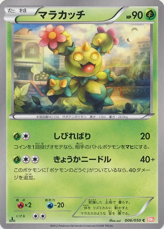 Maractus Card Front