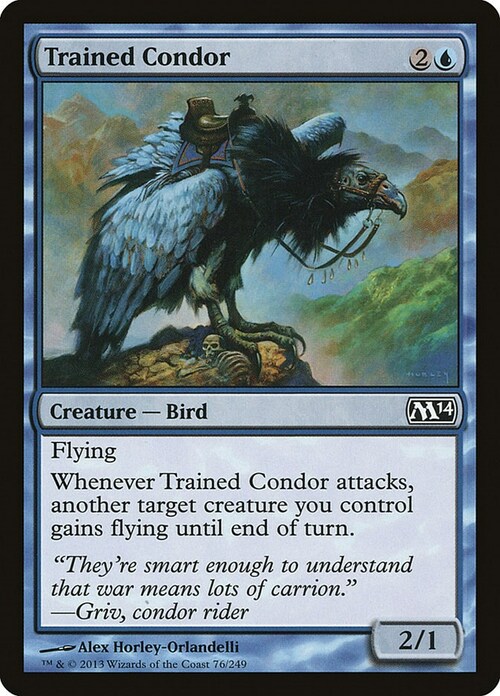 Condor Addestrato Card Front