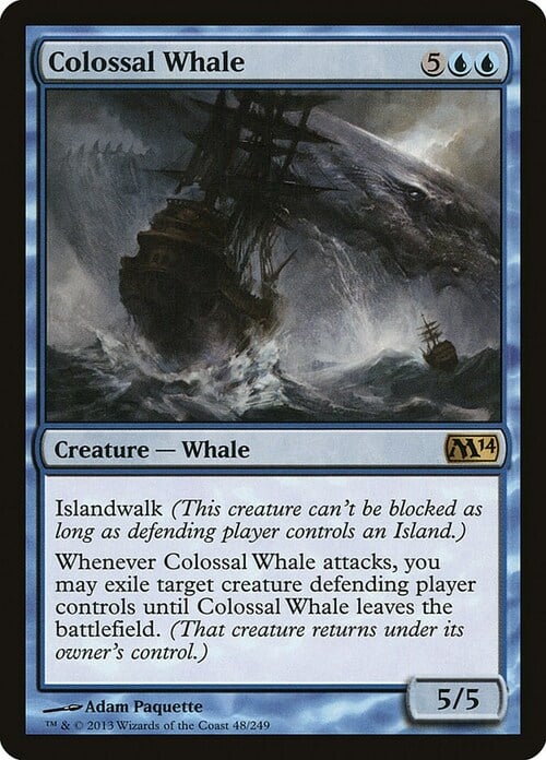Colossal Whale Card Front