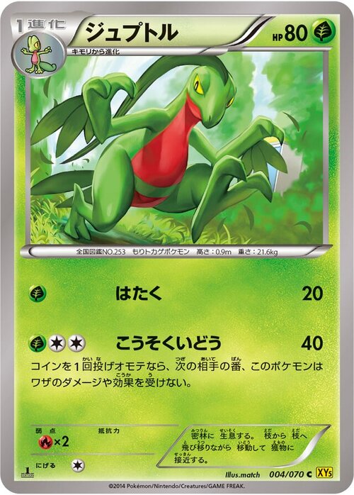 Grovyle Card Front