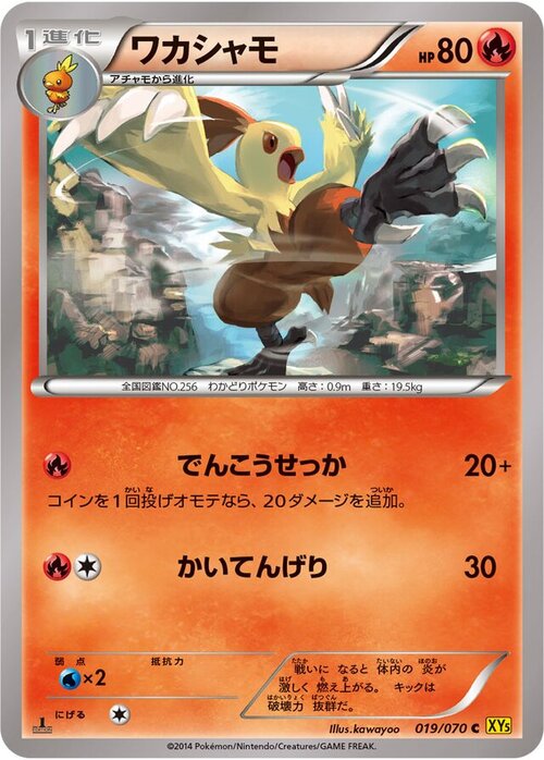 Combusken Card Front