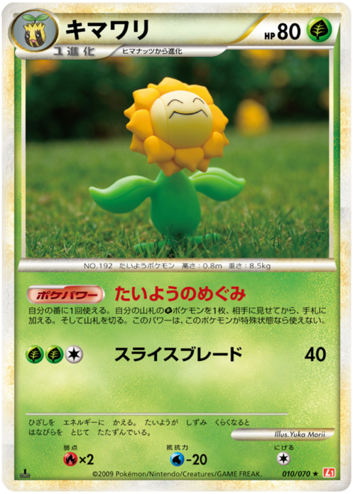 Sunflora Card Front