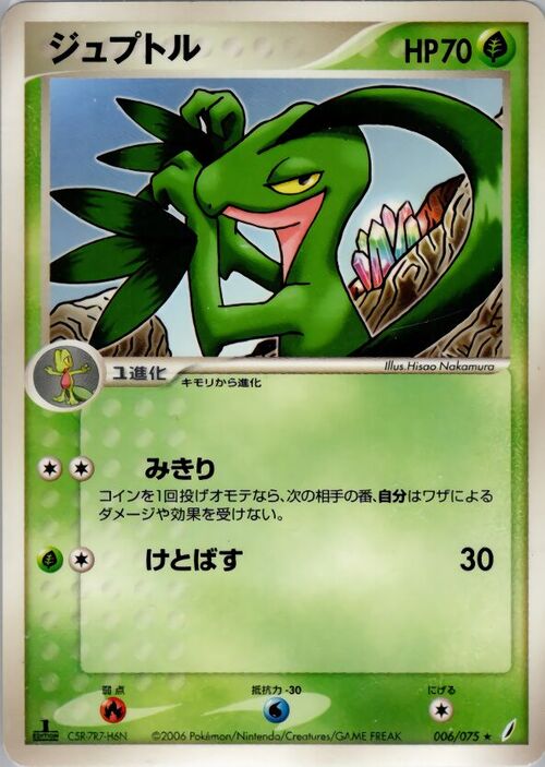 Grovyle Card Front