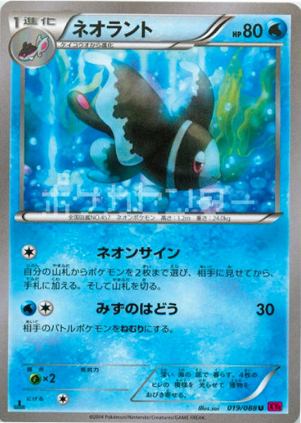 Lumineon Card Front