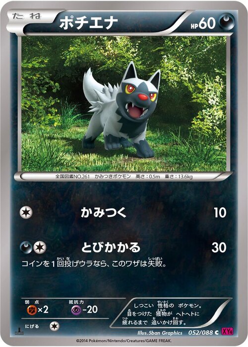 Poochyena Card Front