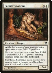 Pallid Mycoderm 024