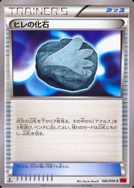 Fossilpinna Card Front