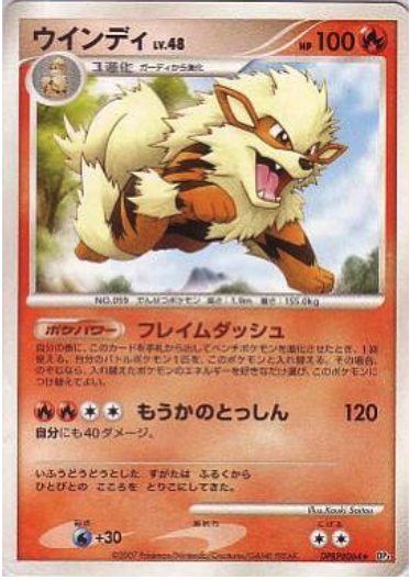 Arcanine Lv.48 Card Front