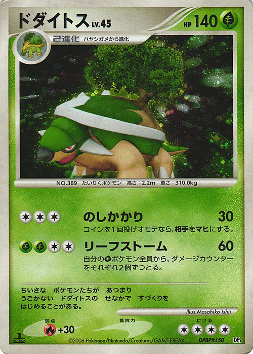 Torterra Lv.45 Card Front