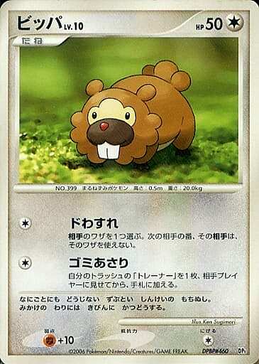 Bidoof Lv.10 Card Front