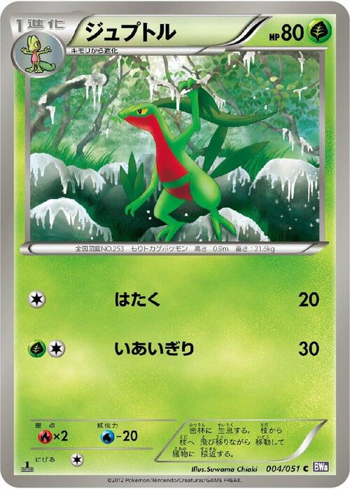Grovyle Card Front