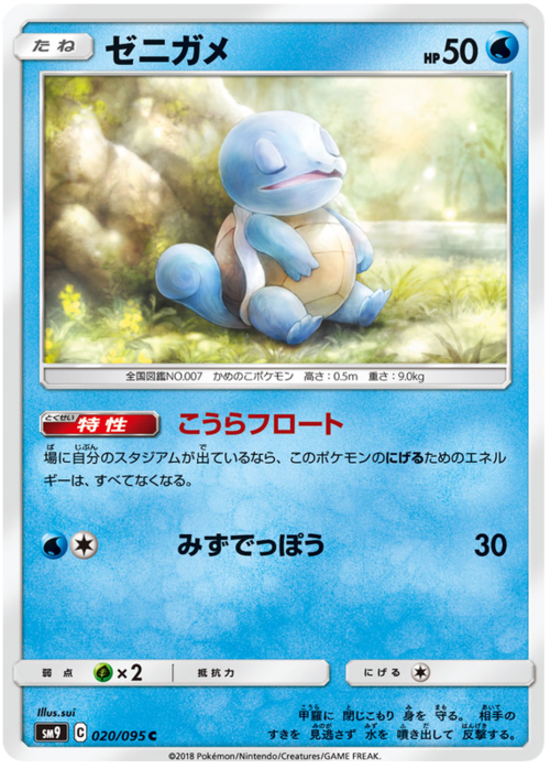 Squirtle Frente