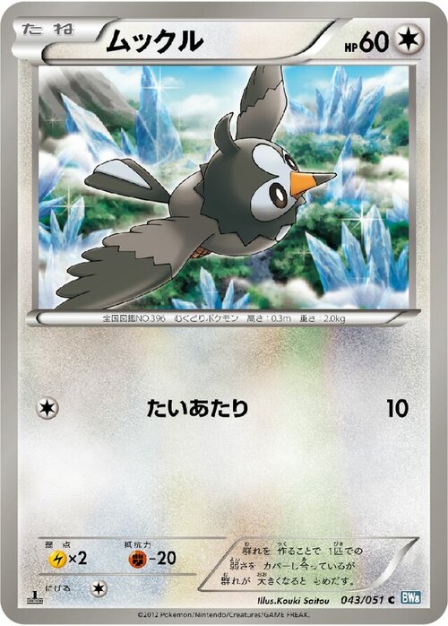 Starly Card Front