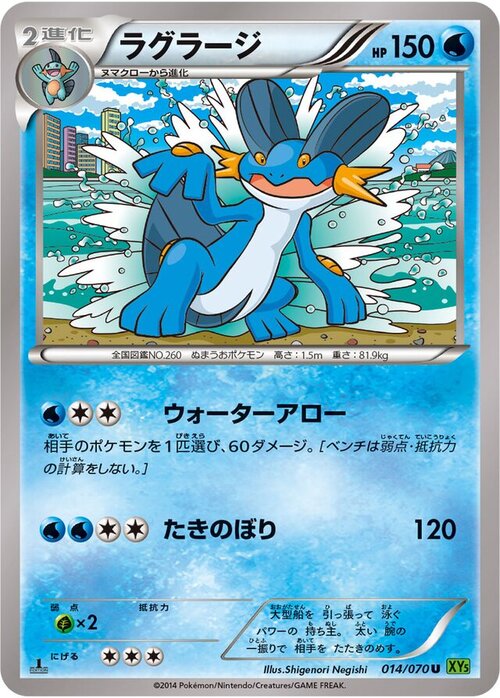 Swampert Card Front
