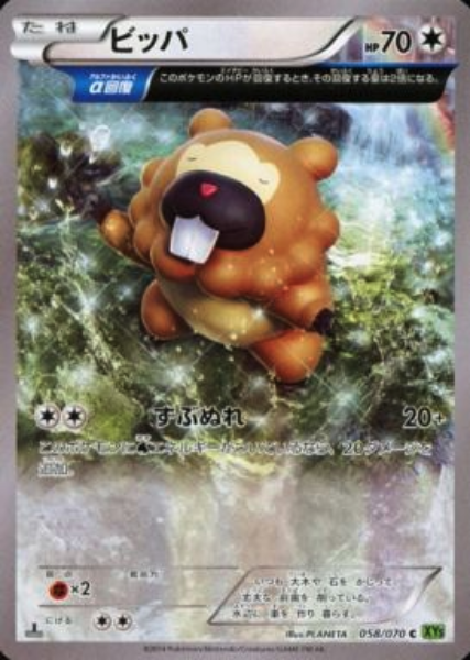 Bidoof Card Front