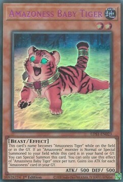 Amazoness Baby Tiger Card Front