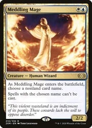 Meddling Mage 210