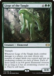 Liege of the Tangle 174