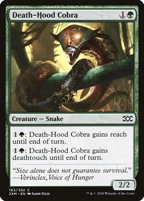 Cobra capucha mortal Frente