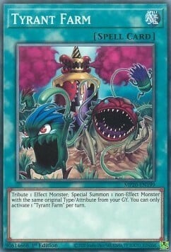 Fattoria dei Tiranni Card Front