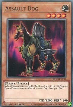 Assault Dog Card Front