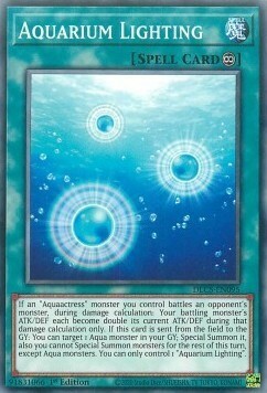 Illuminazione Acquario Card Front