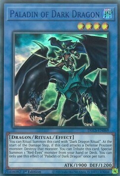 Paladin of Dark Dragon Card Front