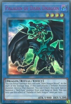 Paladin of Dark Dragon Card Front