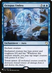Octopus Umbra 070