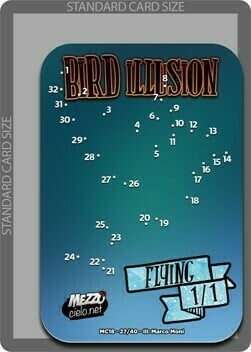 Bird Illusion Card Front