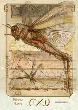 Insect Card Front