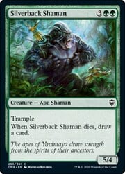 Silverback Shaman 255