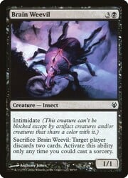 Brain Weevil 058