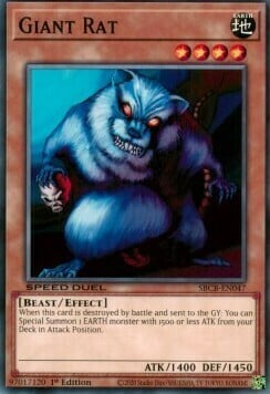 Ratto Gigante Card Front