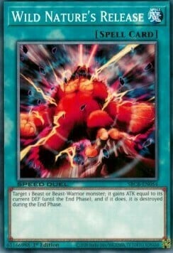 Wild Nature's Release Card Front