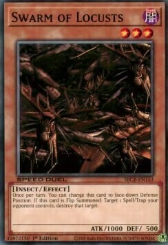 Swarm of Locusts Card Front