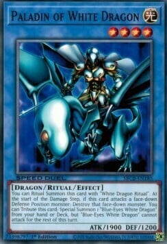 Paladino del Drago Bianco Card Front