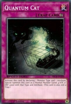 Quantum Cat Card Front